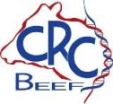 Beef CRC Logo